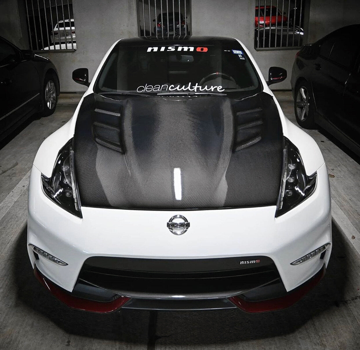 AMS-GT Hood